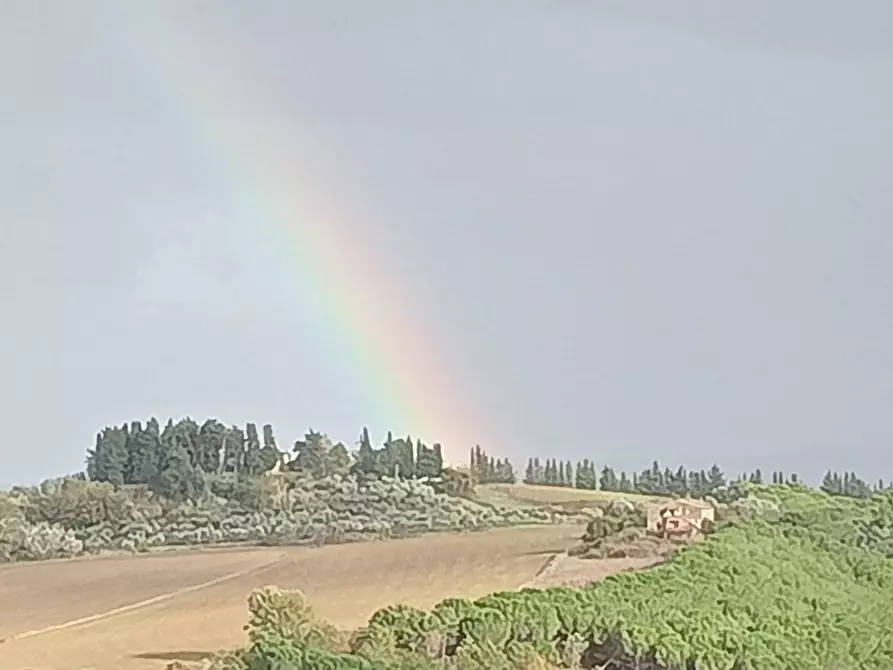 Immagine 15 di Appartamento in vendita  a Peccioli