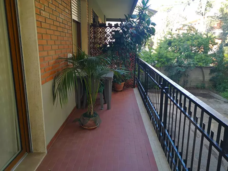 Immagine 31 di Appartamento in vendita  a Massa