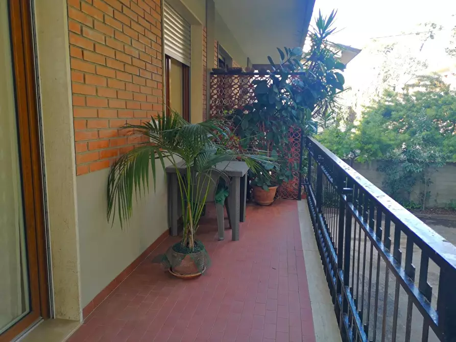 Immagine 32 di Appartamento in vendita  a Massa
