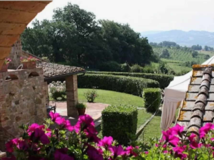 Immagine 12 di Casa colonica in vendita  a Casole D'elsa