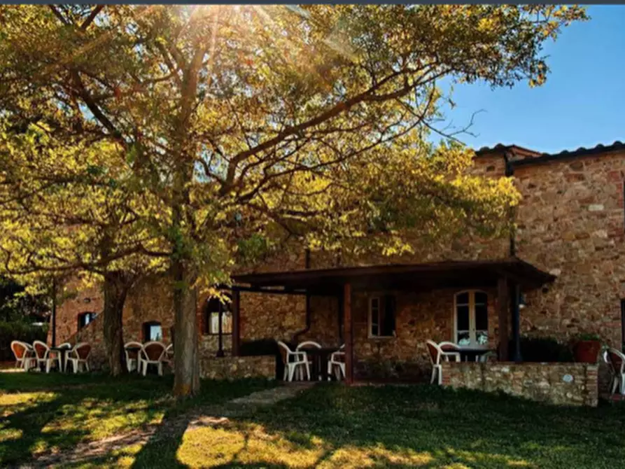 Immagine 10 di Casa colonica in vendita  a Casole D'elsa