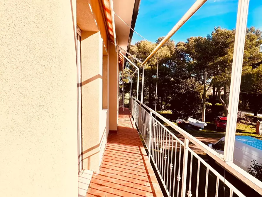 Immagine 14 di Appartamento in vendita  a Bibbona