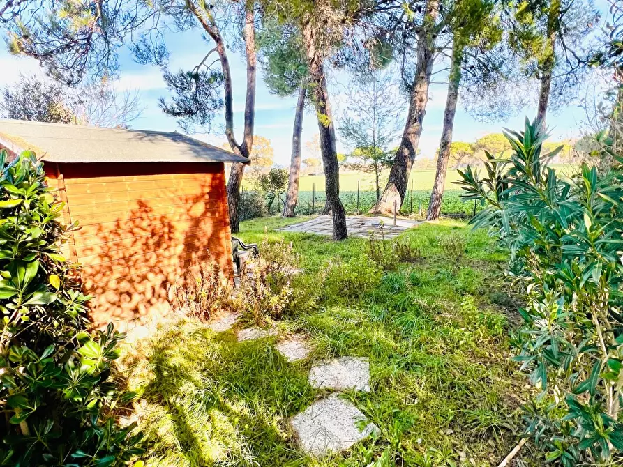 Immagine 18 di Appartamento in vendita  a Bibbona