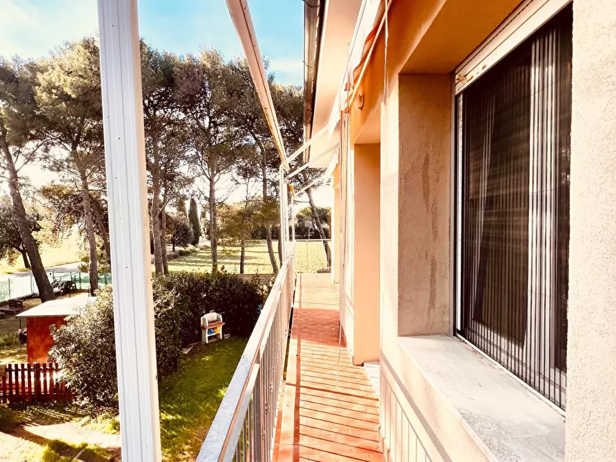 Immagine 13 di Appartamento in vendita  a Bibbona