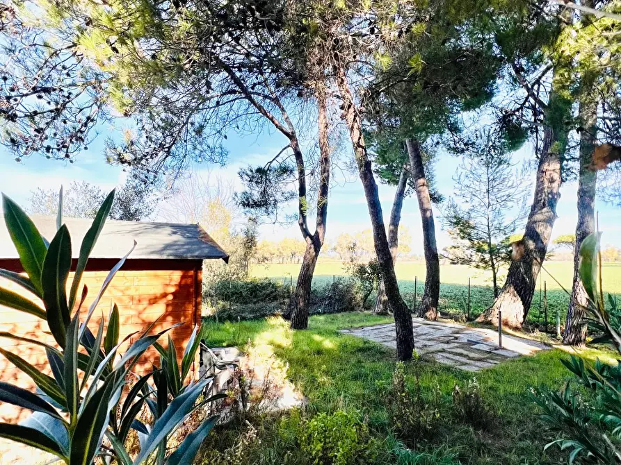 Immagine 19 di Appartamento in vendita  a Bibbona