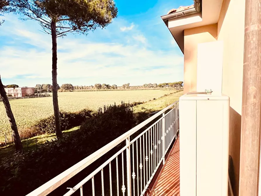 Immagine 15 di Appartamento in vendita  a Bibbona