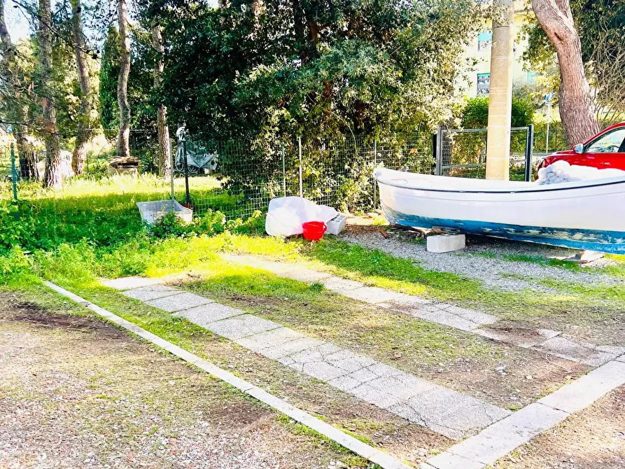 Immagine 21 di Appartamento in vendita  a Bibbona