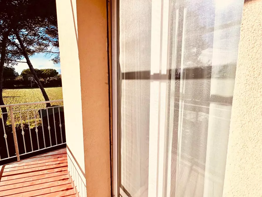 Immagine 16 di Appartamento in vendita  a Bibbona