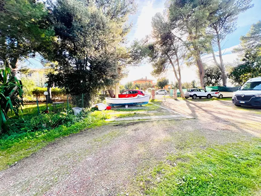 Immagine 20 di Appartamento in vendita  a Bibbona