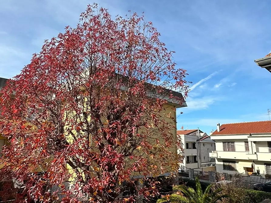 Immagine 14 di Casa bifamiliare in vendita  a Viareggio
