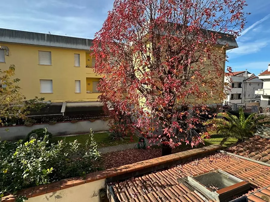 Immagine 29 di Casa bifamiliare in vendita  a Viareggio