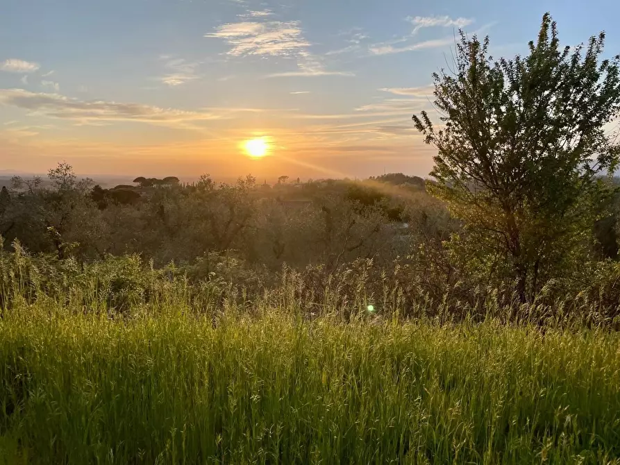 Immagine 10 di Casa indipendente in vendita  a Palaia