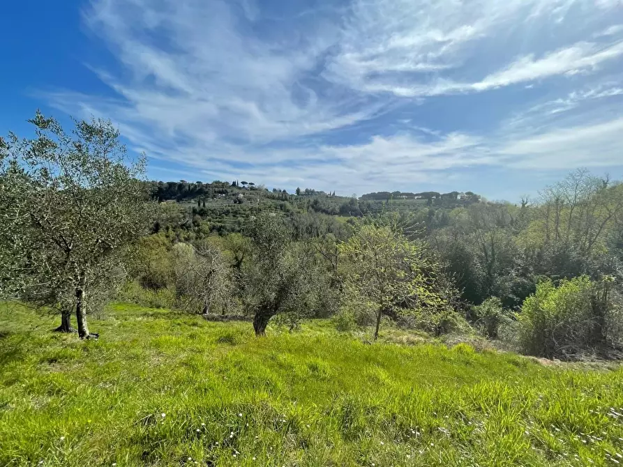 Immagine 9 di Casa indipendente in vendita  a Palaia
