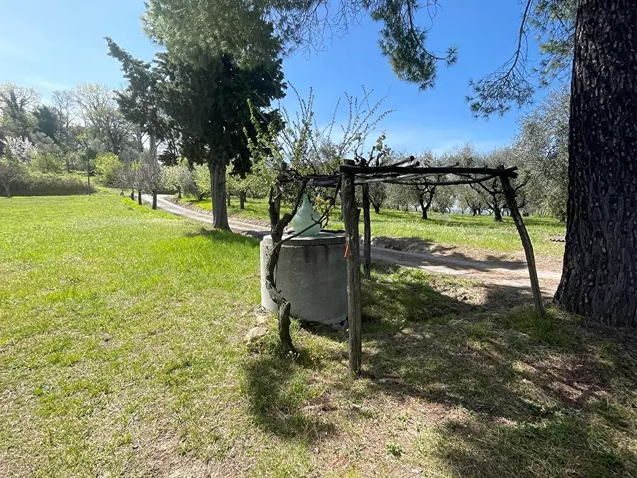 Immagine 7 di Casa indipendente in vendita  a Palaia