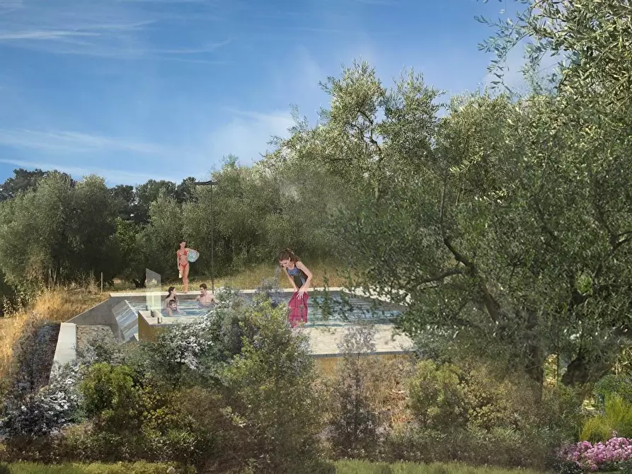 Immagine 3 di Casa indipendente in vendita  a Palaia