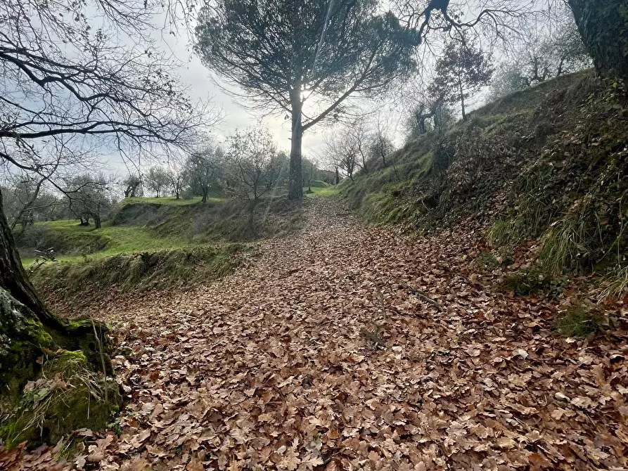 Immagine 8 di Casa indipendente in vendita  a Palaia