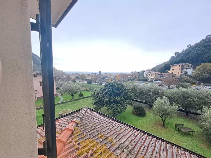 Immagine 29 di Casa bifamiliare in vendita  a Montignoso