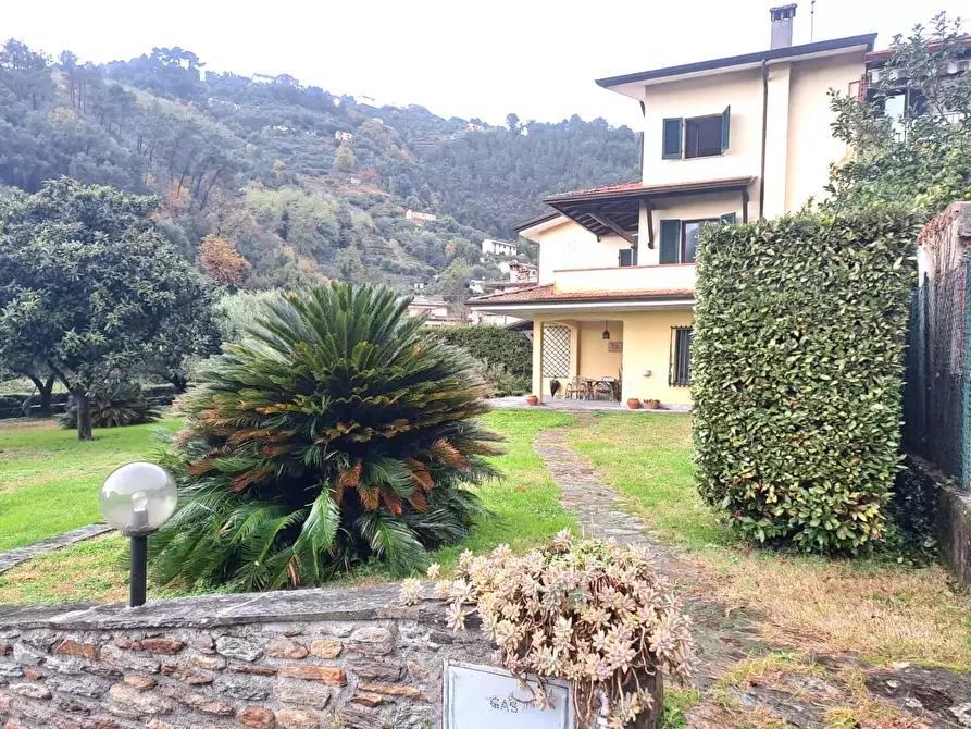 Immagine 2 di Casa bifamiliare in vendita  a Montignoso