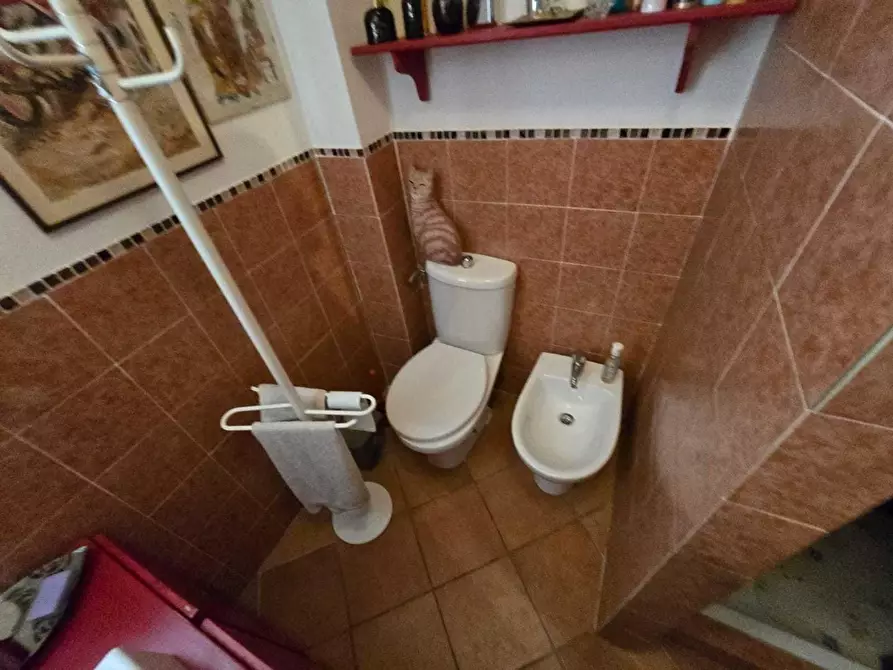 Immagine 45 di Casa indipendente in vendita  a Massa