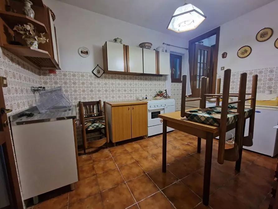 Immagine 18 di Terratetto in vendita  a Crespina Lorenzana