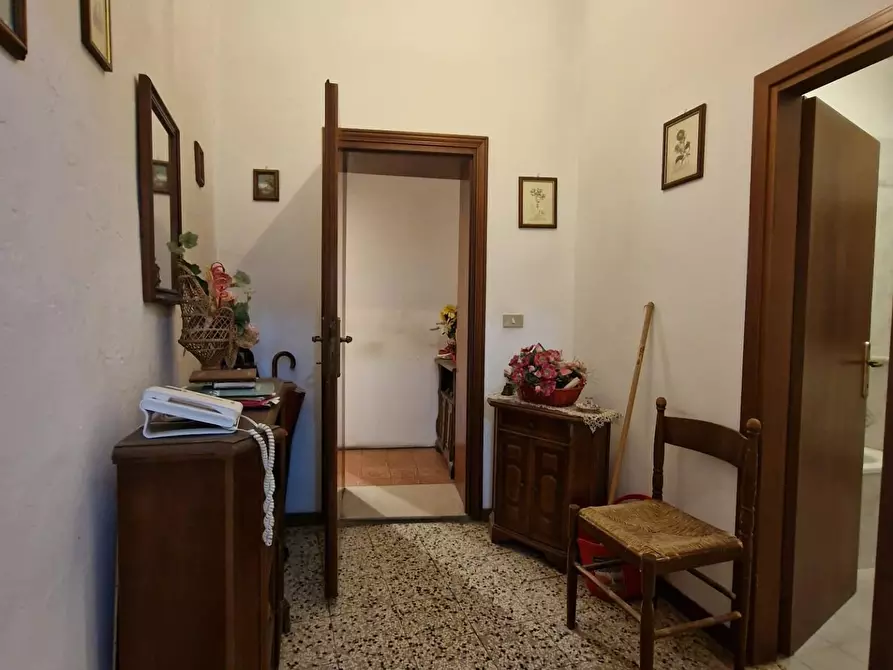 Immagine 26 di Terratetto in vendita  a Crespina Lorenzana