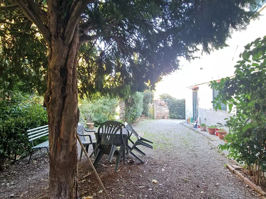 Immagine 8 di Terratetto in vendita  a Crespina Lorenzana