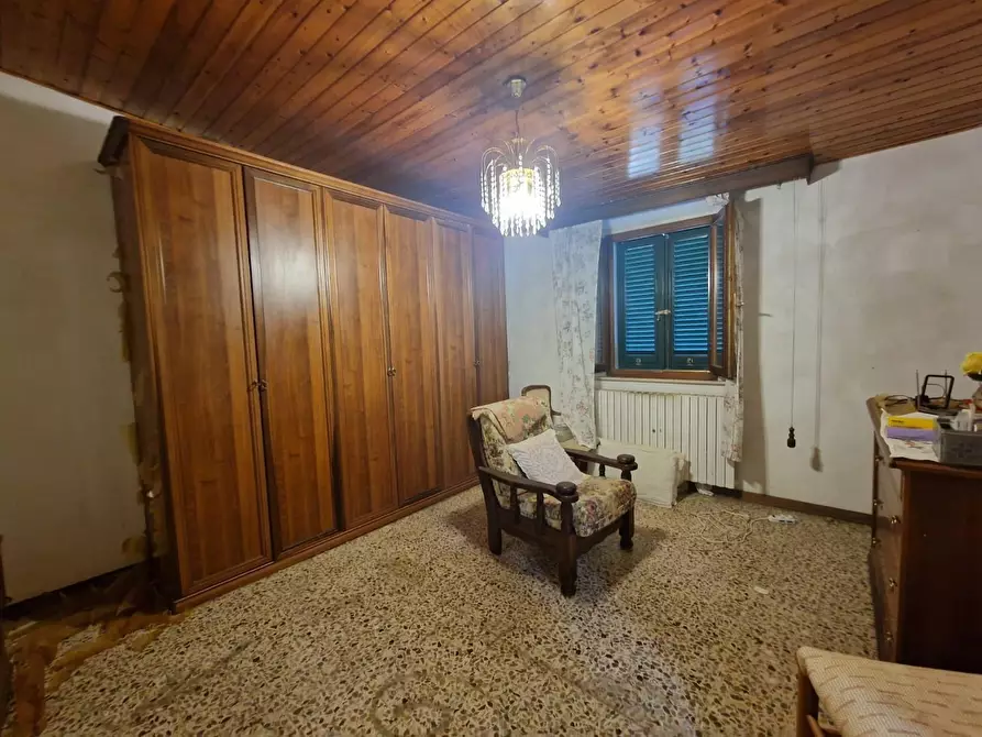 Immagine 25 di Terratetto in vendita  a Crespina Lorenzana