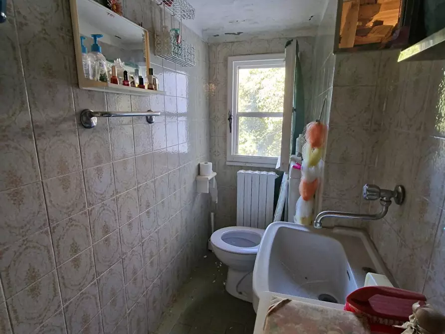 Immagine 43 di Terratetto in vendita  a Crespina Lorenzana