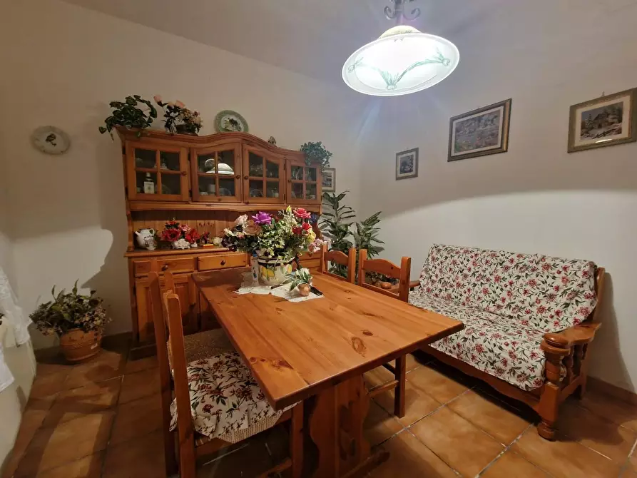 Immagine 11 di Terratetto in vendita  a Crespina Lorenzana