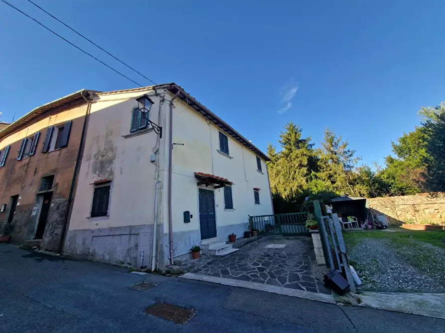 Immagine 51 di Terratetto in vendita  a Crespina Lorenzana