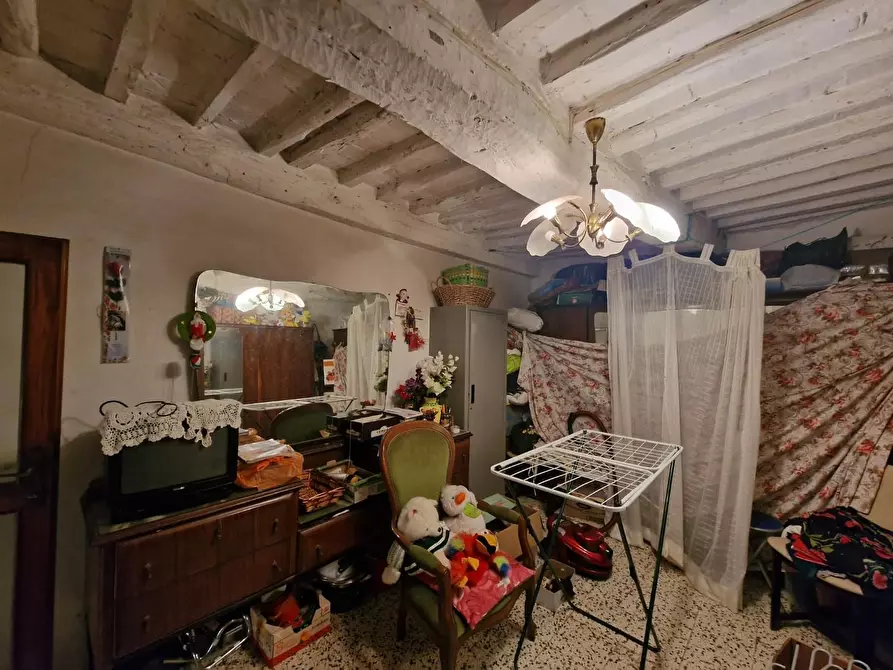 Immagine 42 di Terratetto in vendita  a Crespina Lorenzana