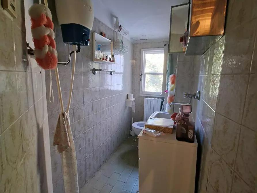 Immagine 41 di Terratetto in vendita  a Crespina Lorenzana