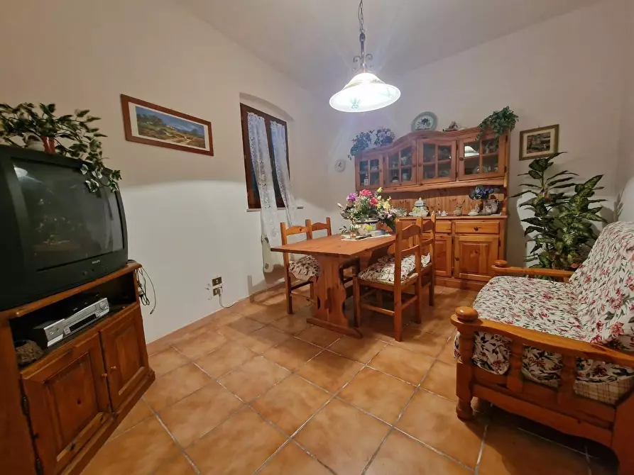 Immagine 12 di Terratetto in vendita  a Crespina Lorenzana