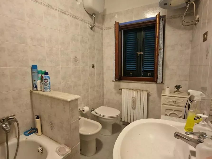 Immagine 28 di Terratetto in vendita  a Crespina Lorenzana