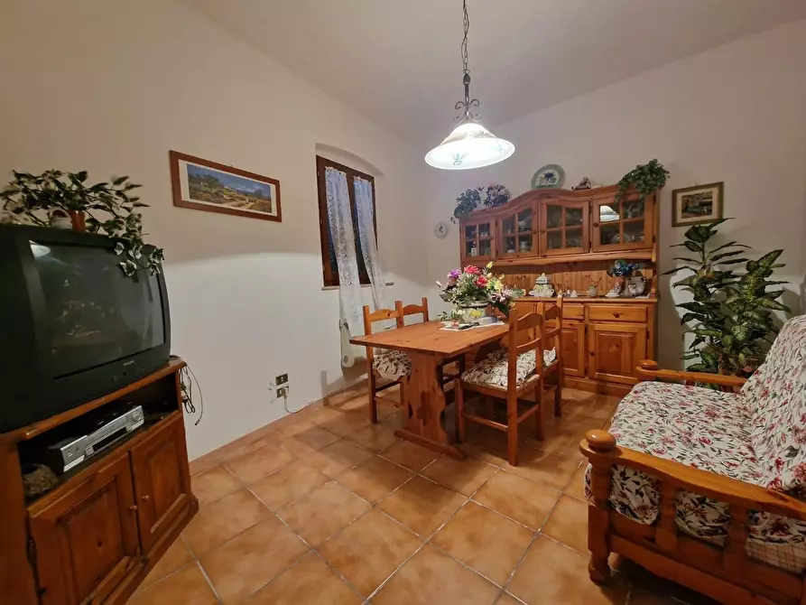 Immagine 13 di Terratetto in vendita  a Crespina Lorenzana