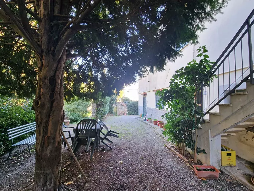 Immagine 2 di Terratetto in vendita  a Crespina Lorenzana