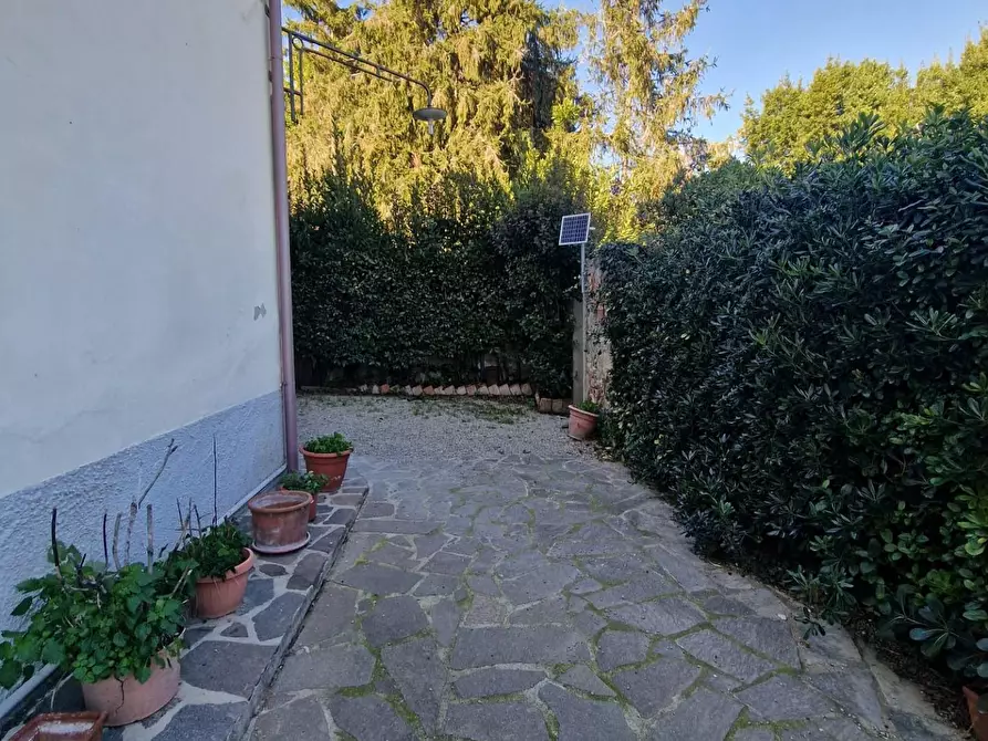 Immagine 7 di Terratetto in vendita  a Crespina Lorenzana