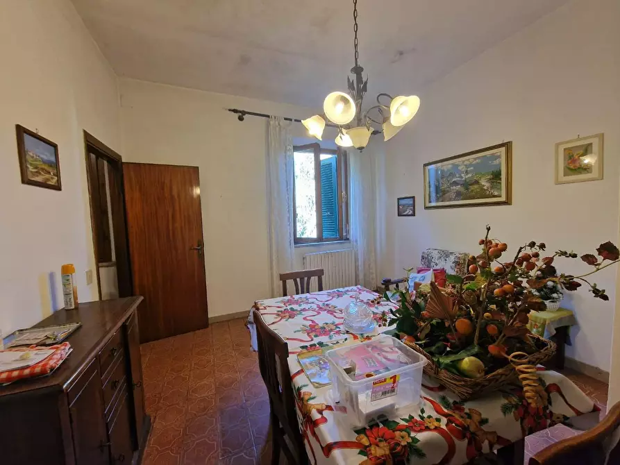 Immagine 31 di Terratetto in vendita  a Crespina Lorenzana