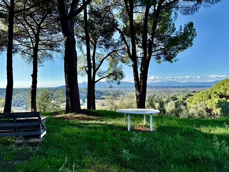 Immagine 6 di Rustico / casale in vendita  a Montopoli In Val D'arno