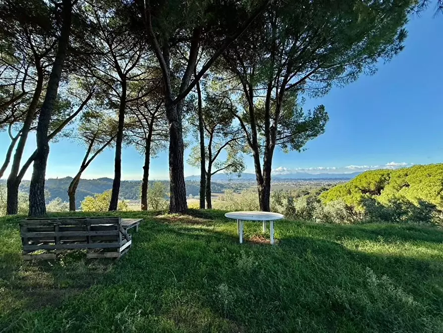 Immagine 23 di Rustico / casale in vendita  a Montopoli In Val D'arno