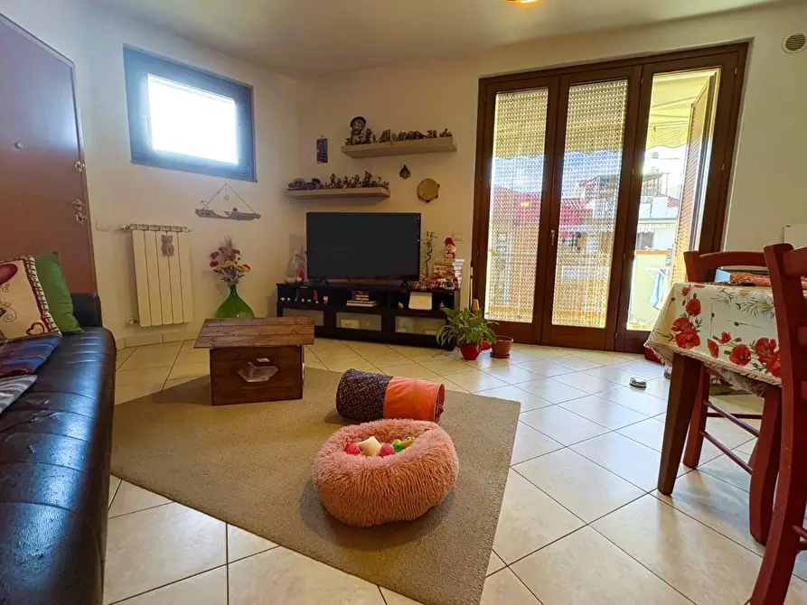 Immagine 4 di Appartamento in vendita  a Vinci