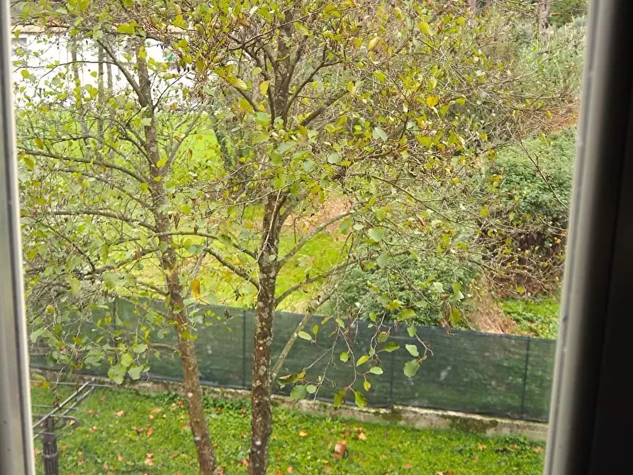 Immagine 24 di Villetta a schiera in vendita  a Capannori