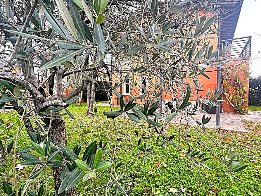 Immagine 32 di Villetta a schiera in vendita  a Capannori