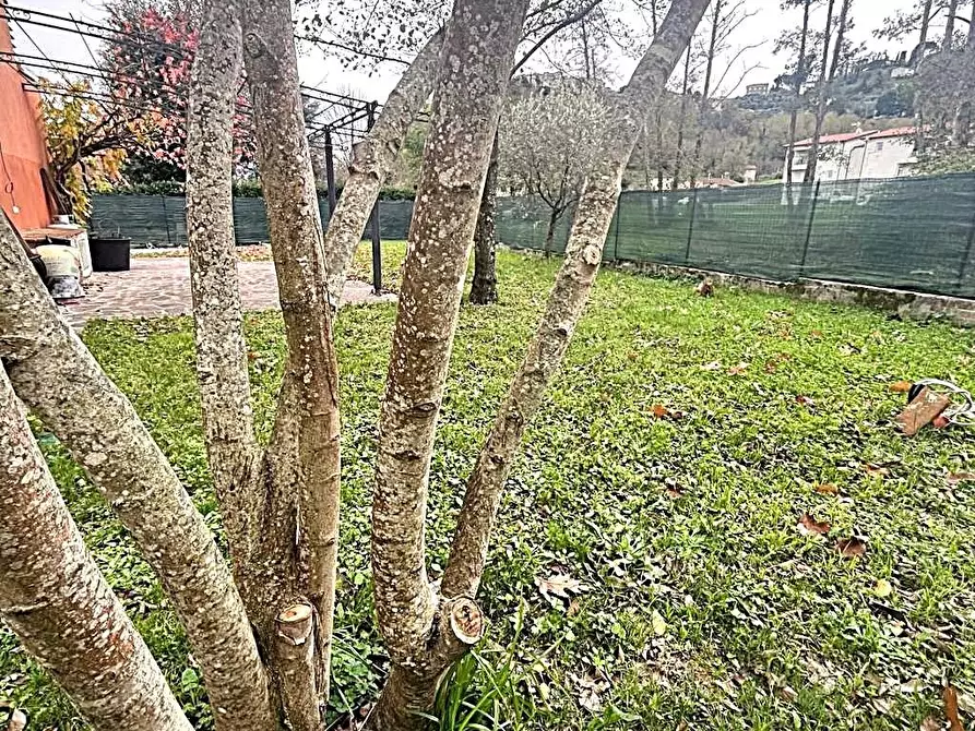 Immagine 34 di Villetta a schiera in vendita  a Capannori