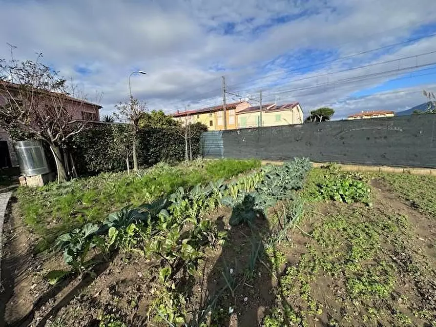 Immagine 57 di Terratetto in vendita  a Pisa