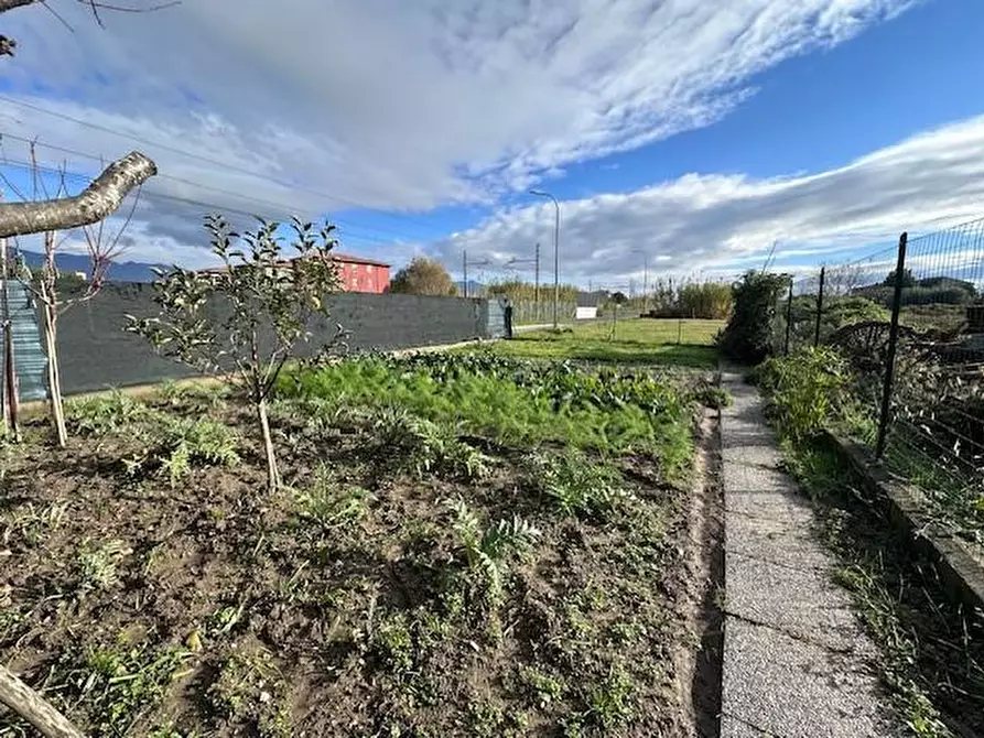 Immagine 56 di Terratetto in vendita  a Pisa