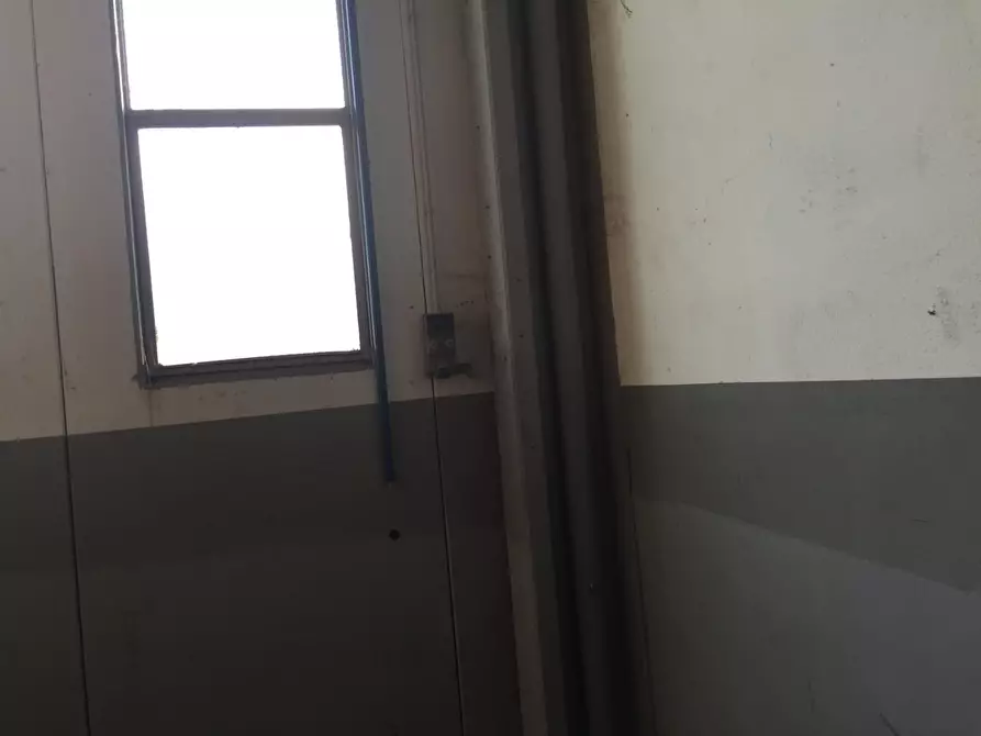 Immagine 6 di Capannone industriale in vendita  a Grosseto