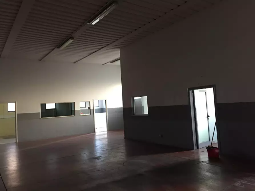 Immagine 4 di Capannone industriale in vendita  a Grosseto