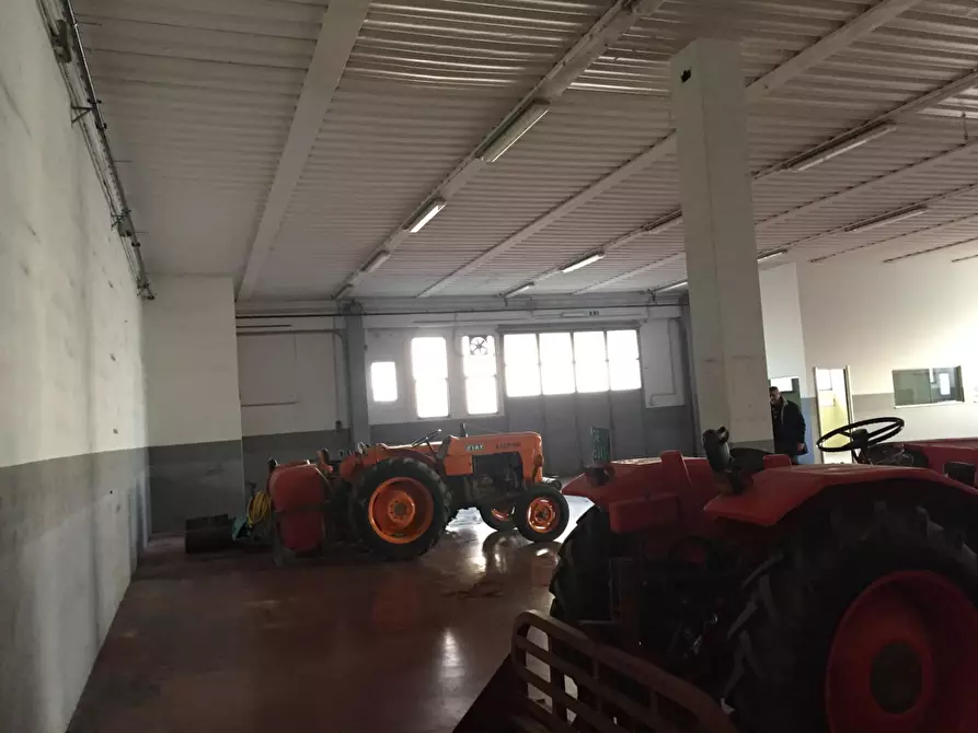 Immagine 15 di Capannone industriale in vendita  a Grosseto