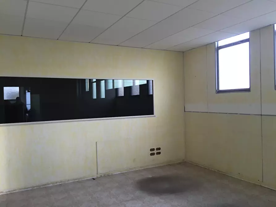 Immagine 21 di Capannone industriale in vendita  a Grosseto